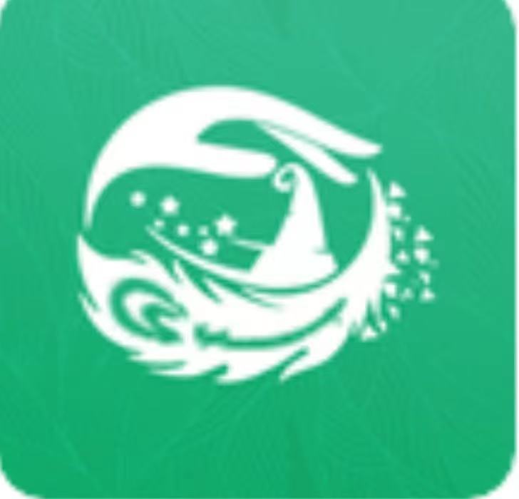 魔法师计划